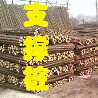 杉木樁|杉木綠化桿，上海1.5米/2米/3米杉木樁